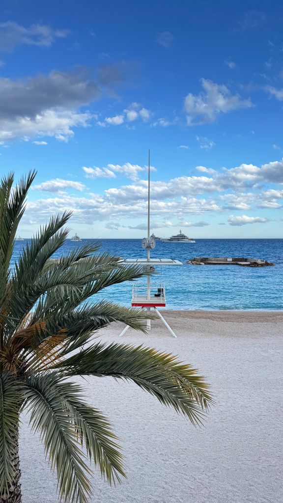 Edoardo Mapelli Mozzi shared a gorgeous beach photo on Instagram