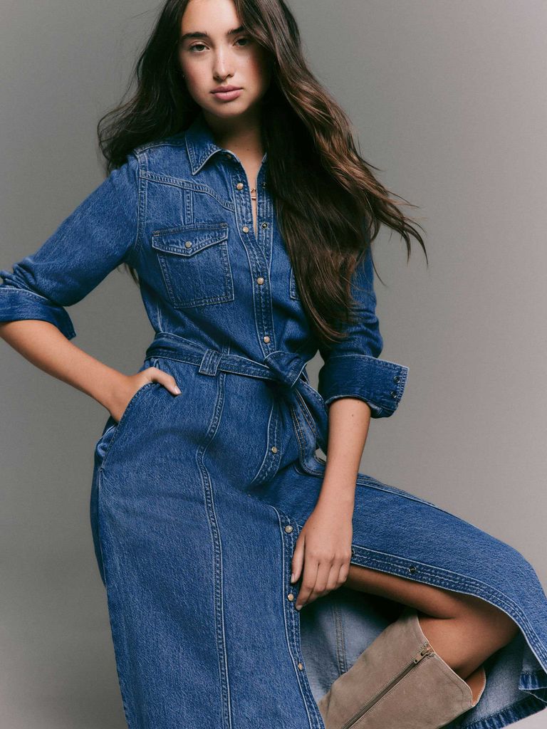 next Denim dress
