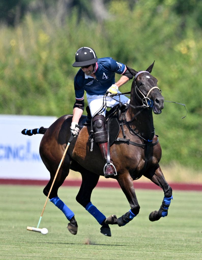 William takes a shot