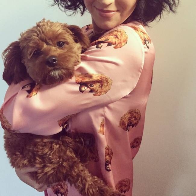 Katy Perry dog pajamas