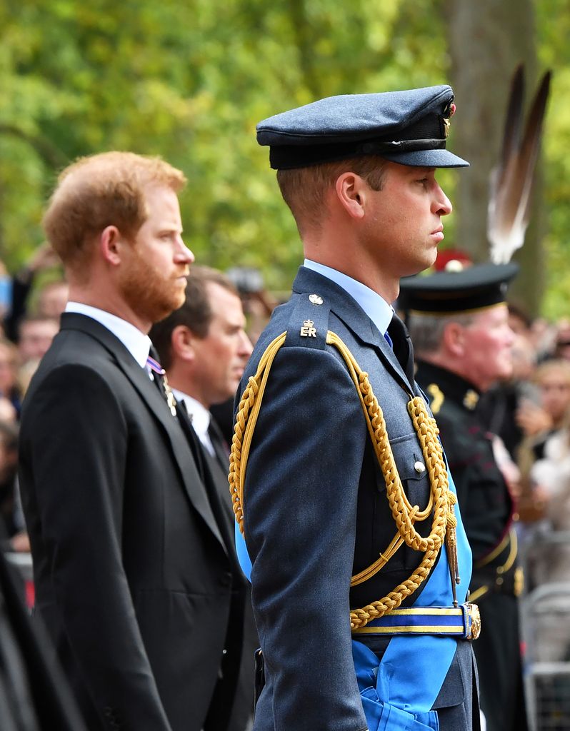 The royal brothers are passionate about supporting servicepeople