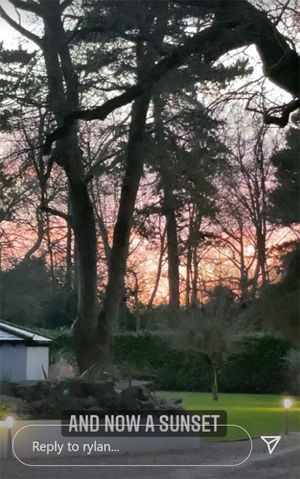 Rylan garden sunset