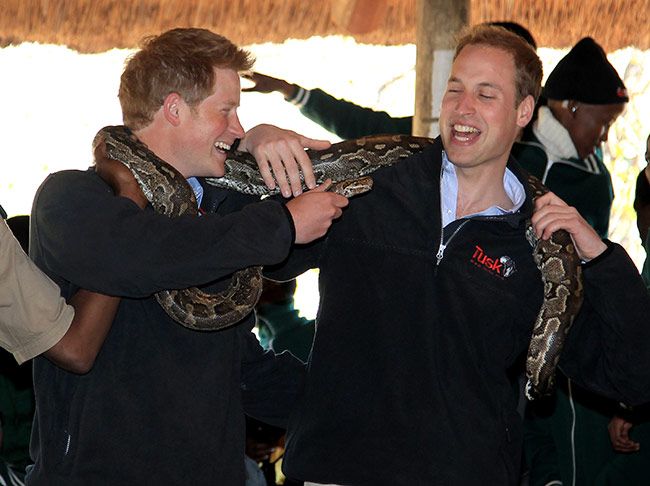 Prince Harry and William with snakes