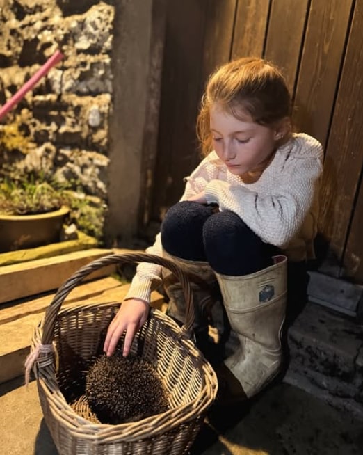 girl with hedgehog in basket