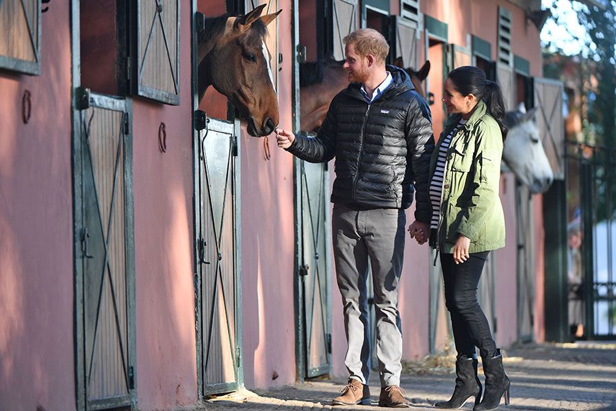 prince harry touching horse