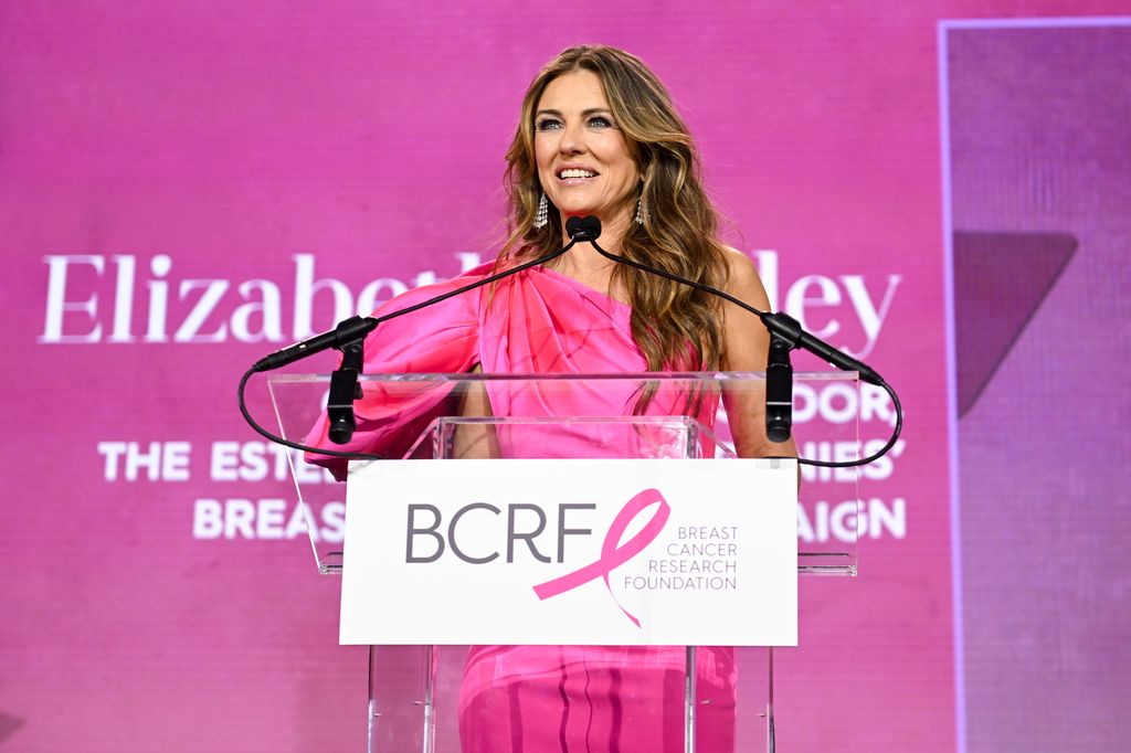 Elizabeth Hurley at the Breast Cancer Research Foundation Hot Pink Party