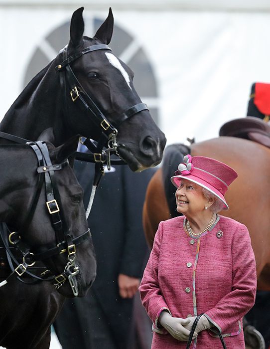 queen loves horses