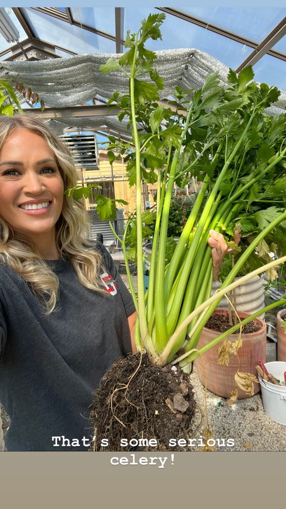 Carrie Underwood holding celery in her greenhouse