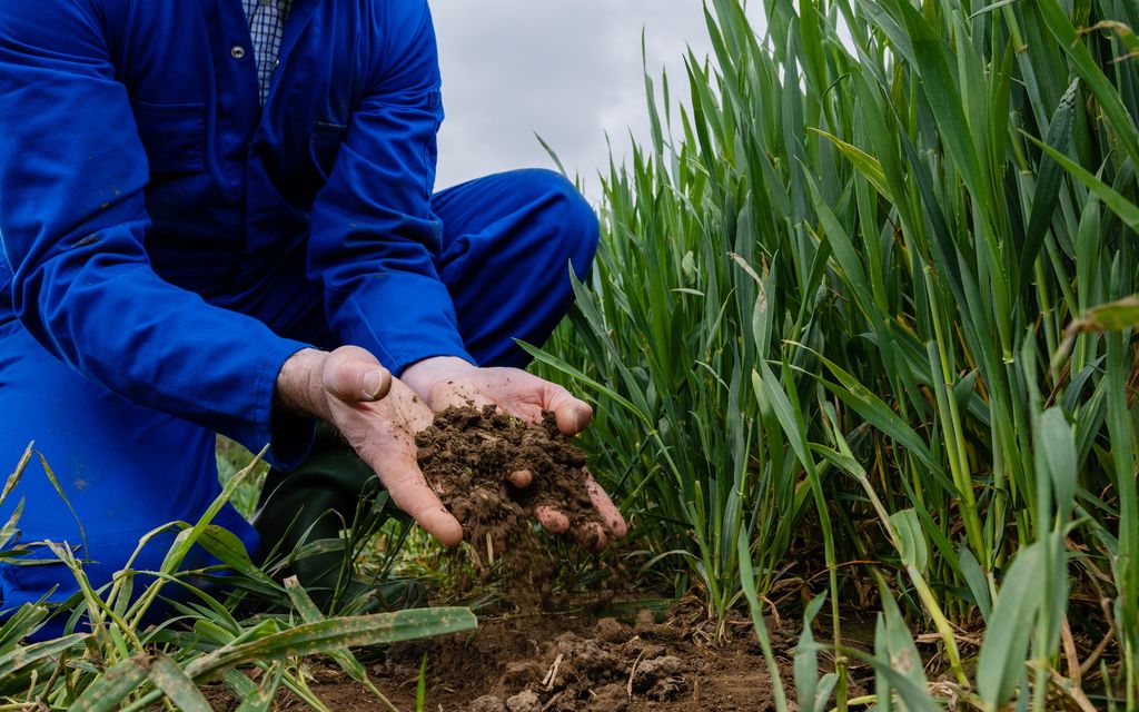 The quality of British soil is changing due to years of nitrogen fertilisers