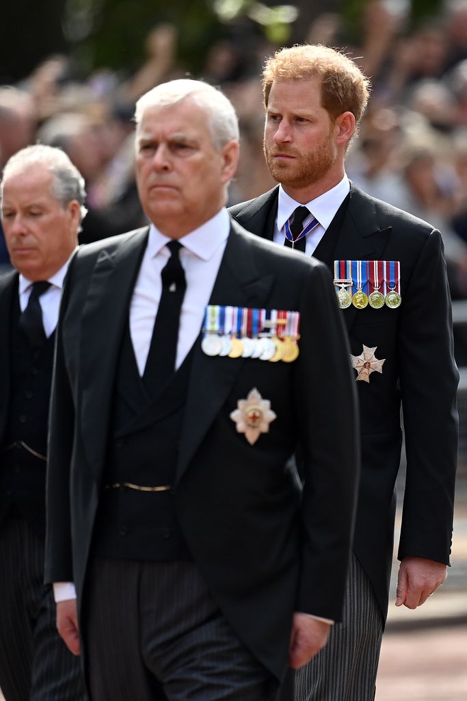 Prince Andrew and Prince Harry will have no formal role at the coronation