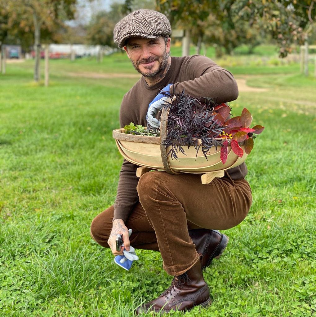 David beckham outside carrying basket of veg 