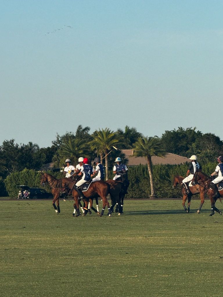 Prince Harry plays polo in the number 2 jersey