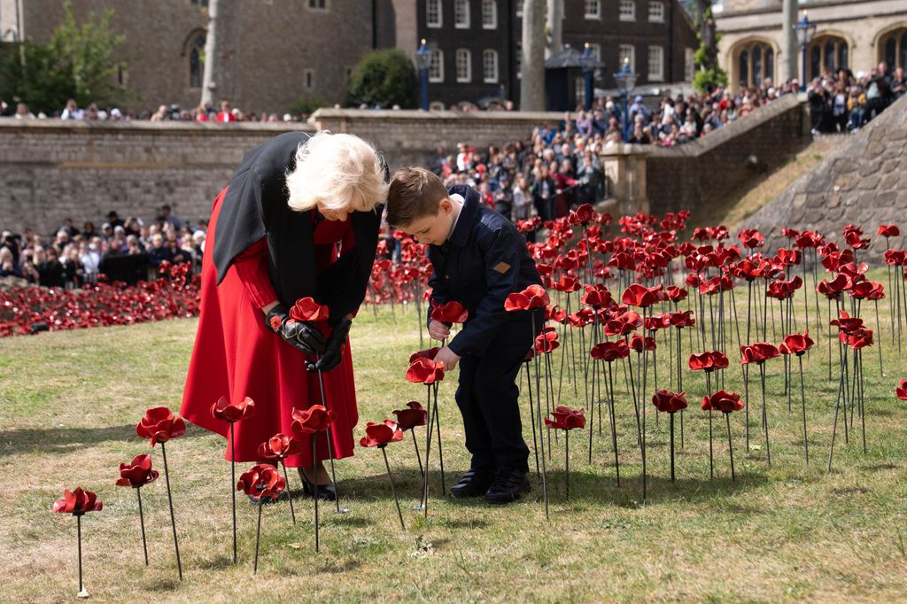 Queen Camilla placing ceramic poppy with schoolboy