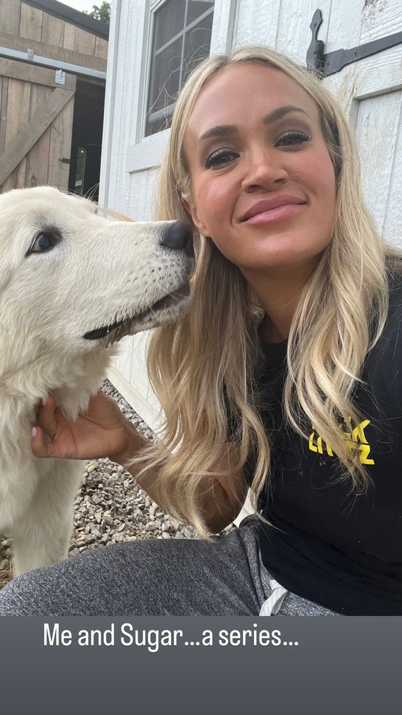 Carrie Underwood shares a photo with her dog Sugar on her Instagram Stories