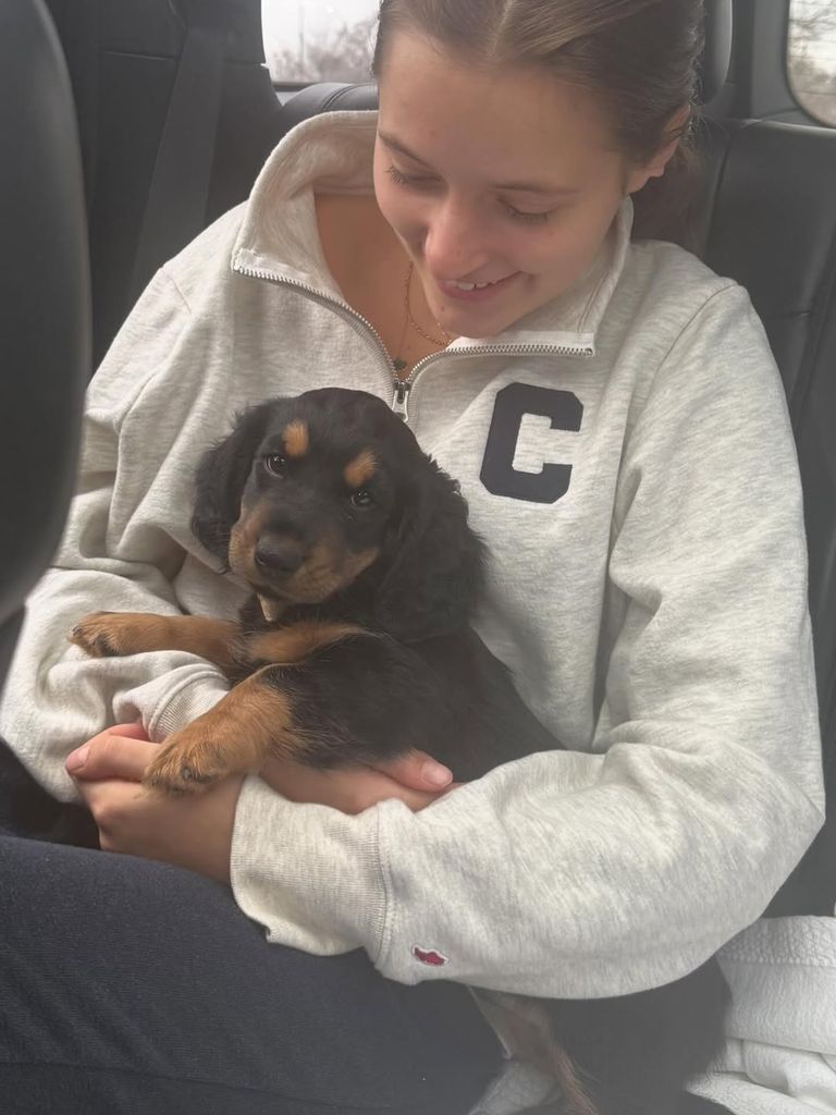 Harper Stephanopoulos embraces the family's new dog Stanley, photographed and shared by Ali Wentworth on Instagram