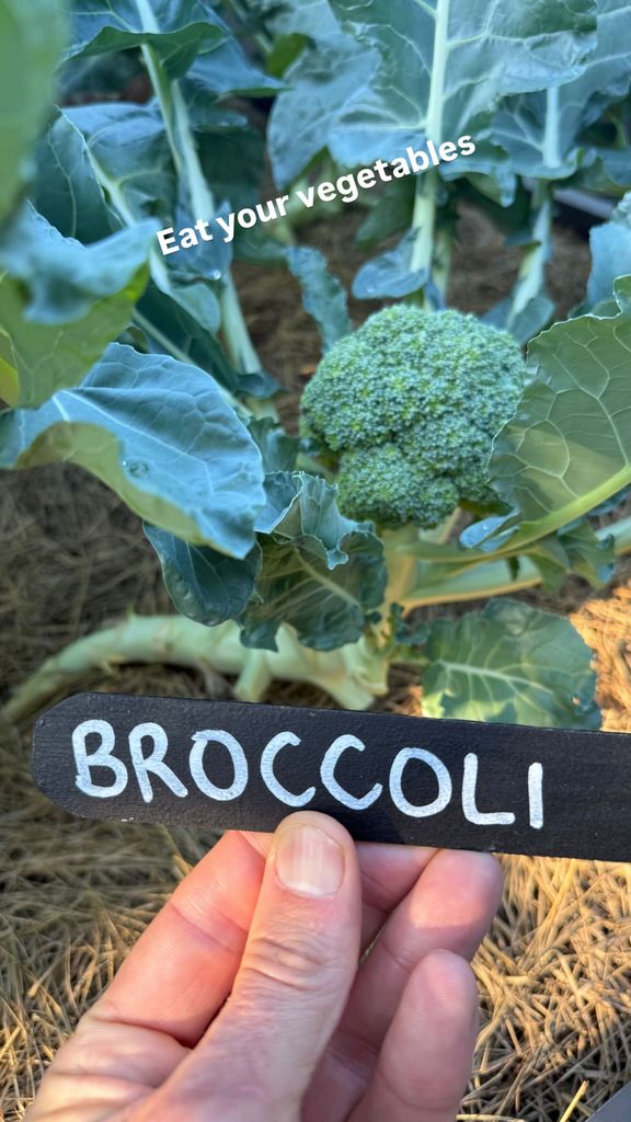 Tom Brady grows his own broccolli