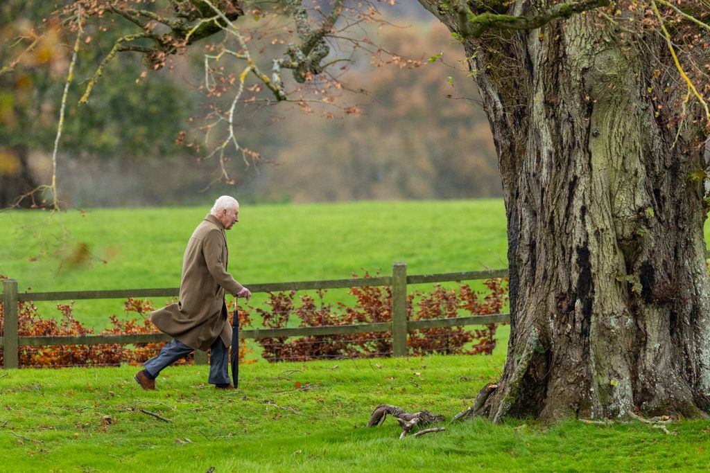 man walking along path 