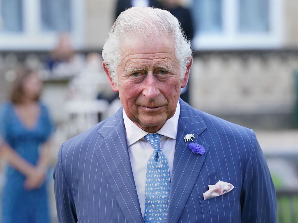 Prince Charles, Prince of Wales attends the "A Starry Night In The Nilgiri Hills" event in a blue pinstriped suit
