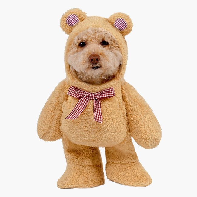 teddy dog costume