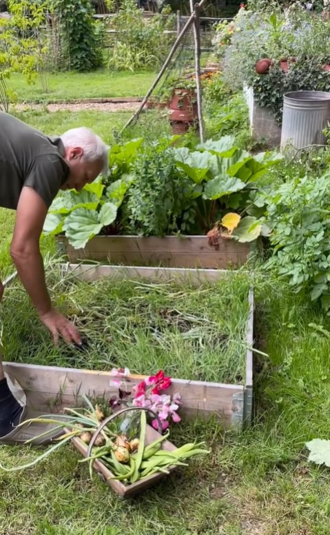 Martin Kemp tends to his allotment in their garden