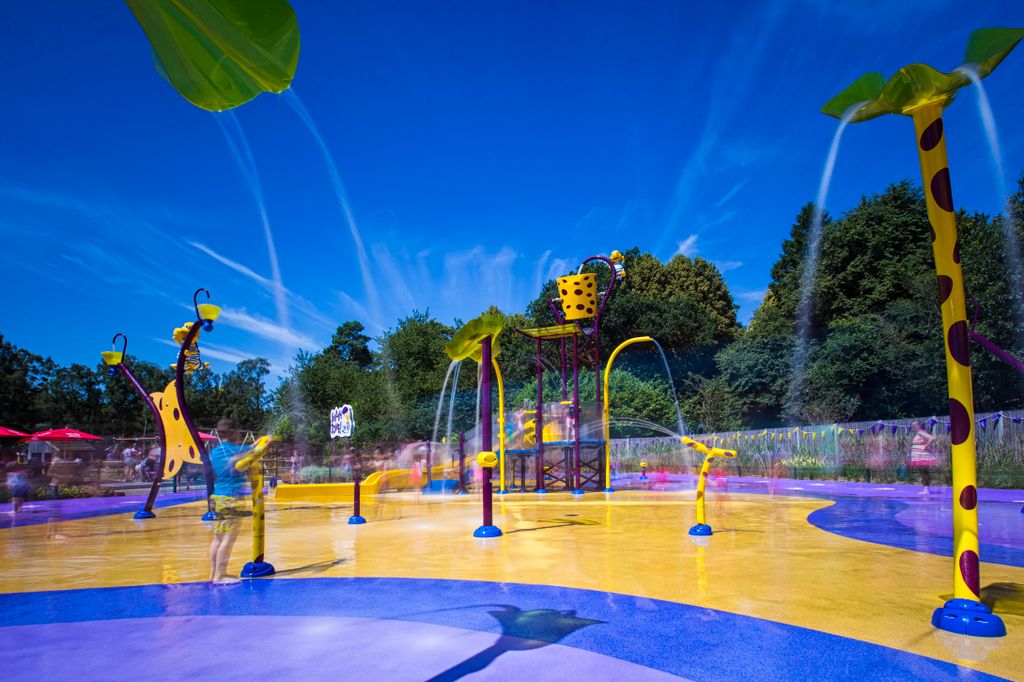 ROARR! is the perfect place for family fun