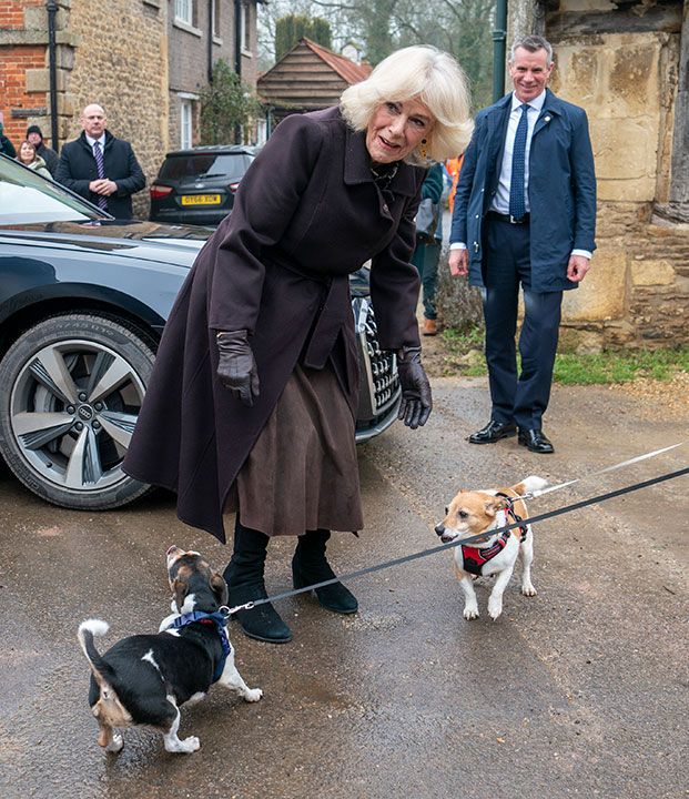 Queen Consort Camilla and her pet dogs