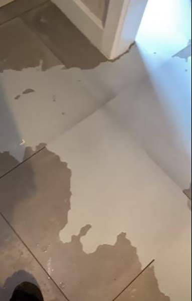alison hammond spilled milk
