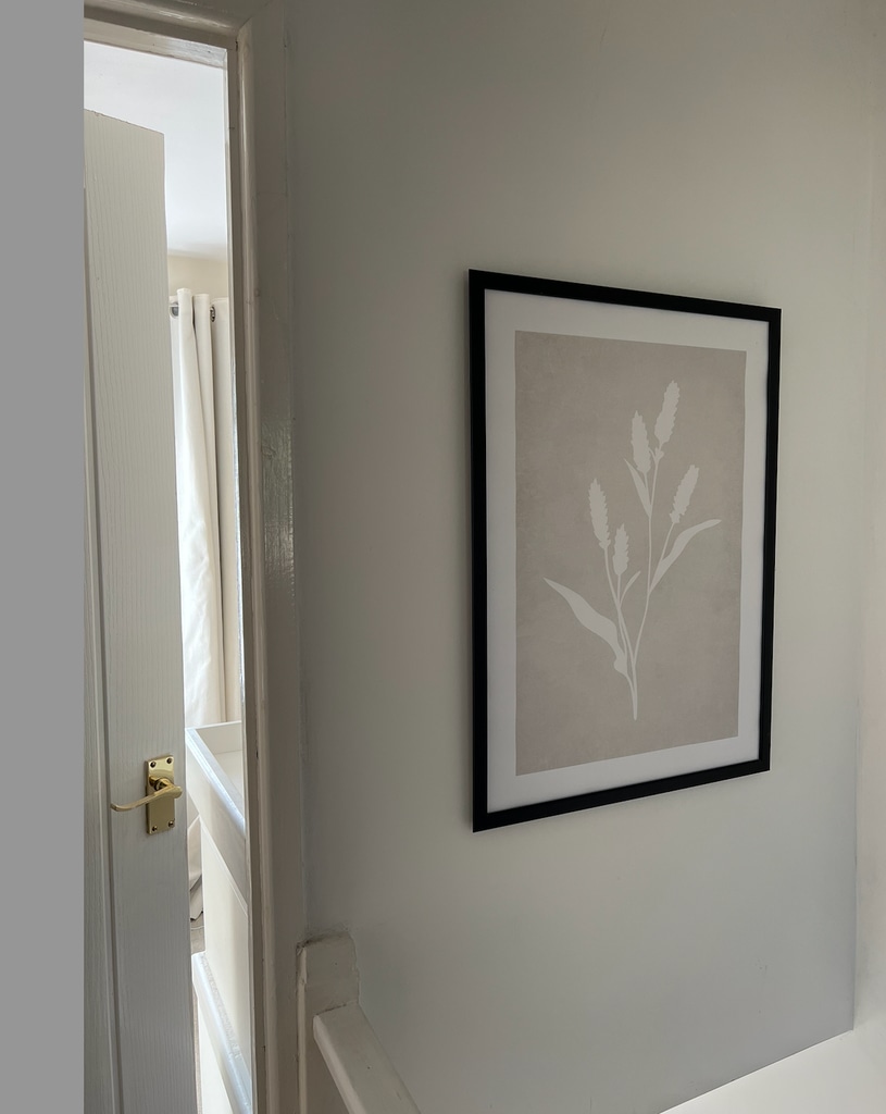 framed print on wall in hallway