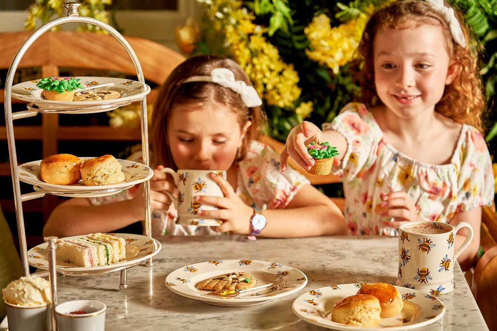 Dalloway Terrace Afternoon tea for kids