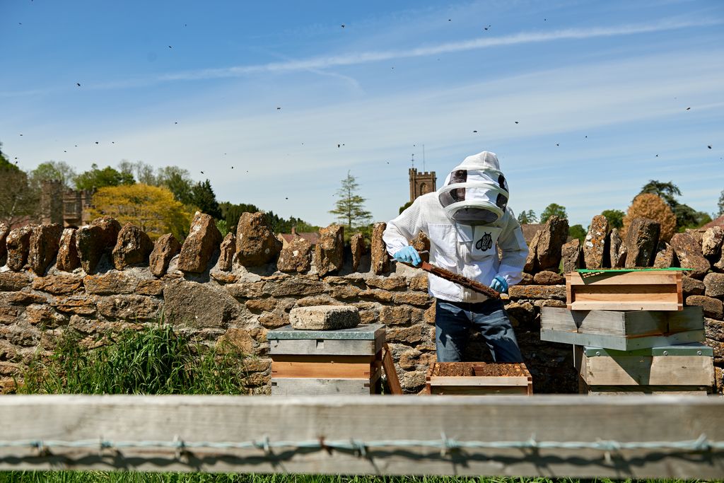 Person beekeeping in the countryside