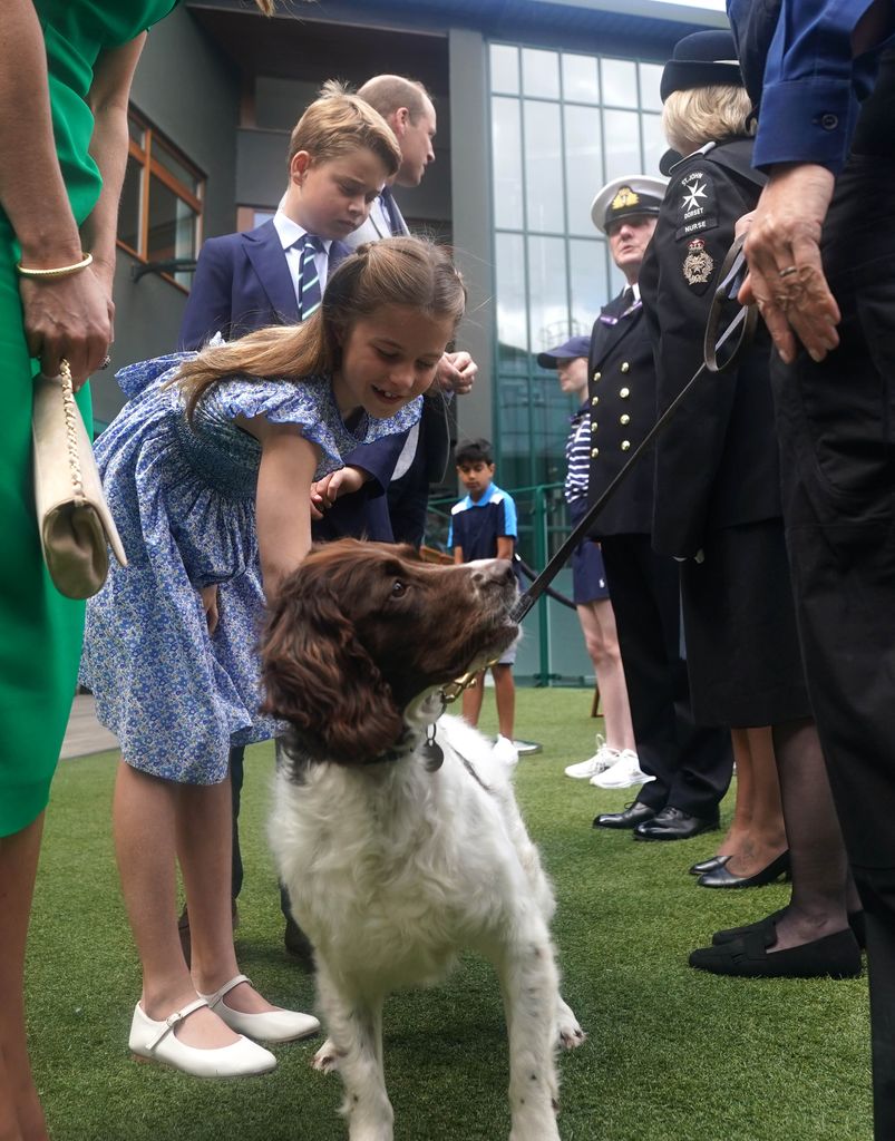 Princess Charlotte stroking at dog at Wimbledon