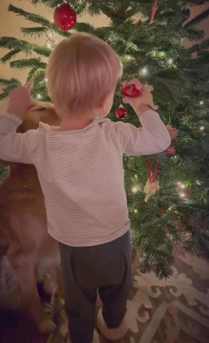 A young boy decorating a Christmas tree and patting a dog on the head