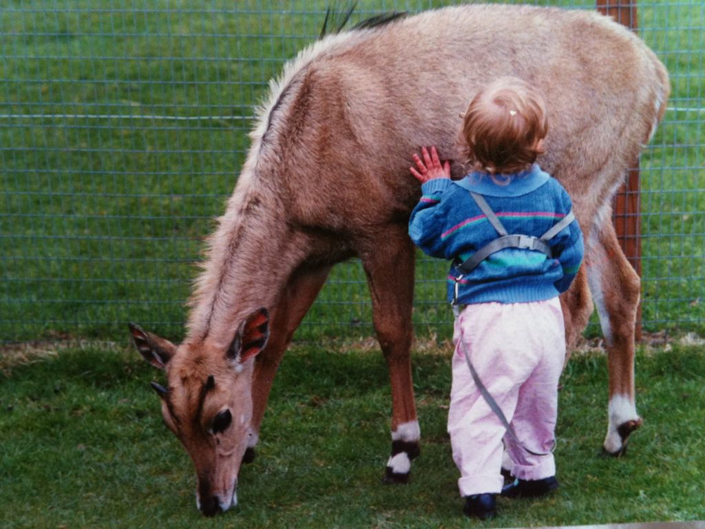 Growing up, I loved all animals