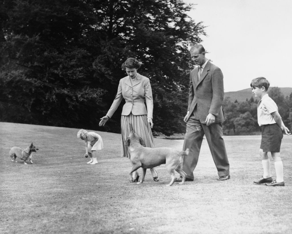 Royal Family at Balmoral. Princess Anne tempts the queen's corgi, Sugar, with a ball, and the Duke of Edinburgh's dog, Candy, looks up at Queen Elizabeth, as with the duke and Prince Charles they walk in the grounds of Balmoral Castle during the royal family's summer holiday, August 1955.