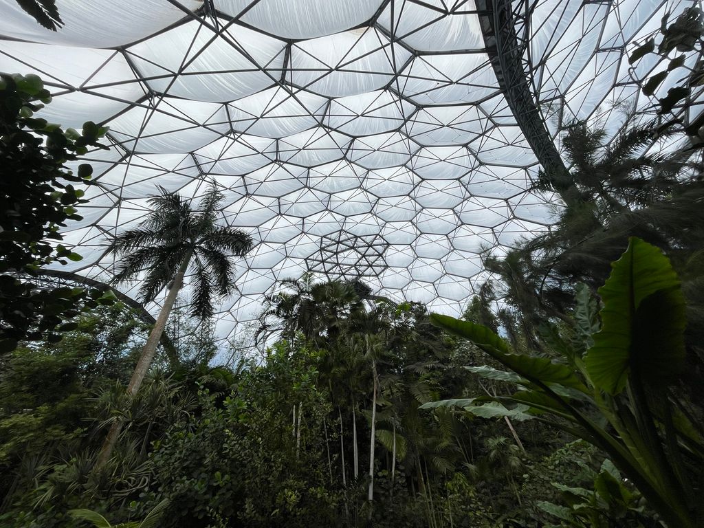 Inside the Rainforest Biome in The Eden Project