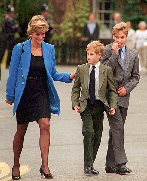princess diana with her sons