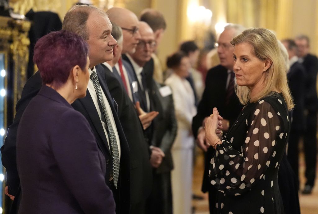 Sophie, duchesse d'Édimbourg, s'entretient avec le chef des libéraux-démocrates, Sir Ed Davey, lors d'une réception pour souligner le travail inspirant des soignants rémunérés et non rémunérés au château de Windsor le 11 février 2026. 