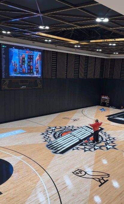 drake nba-sized basketball court inside 100m toronto home