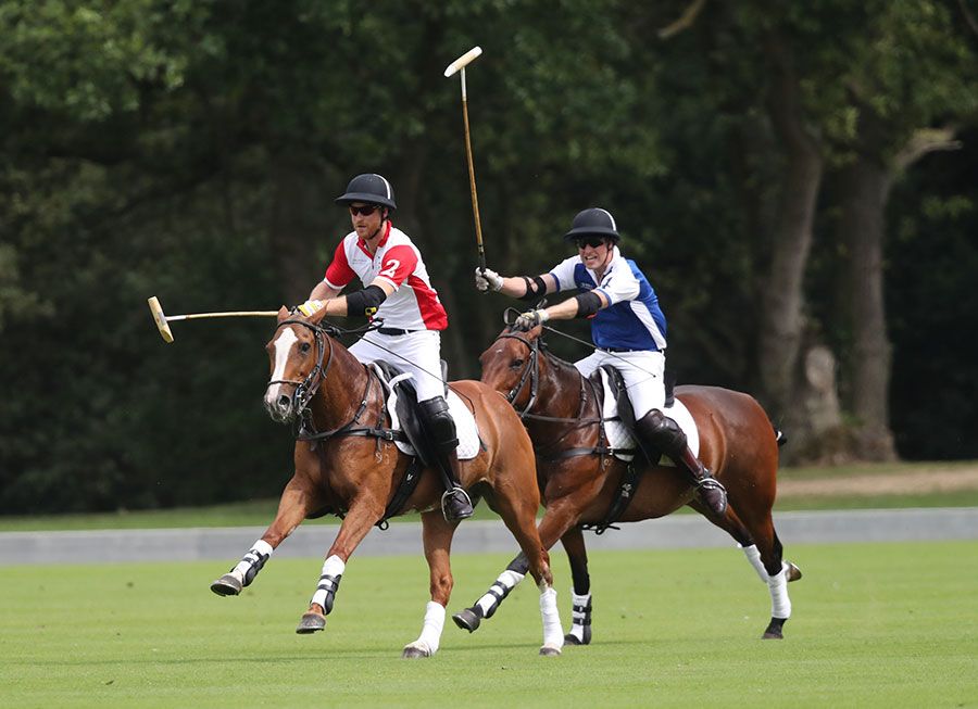 princes william and harry at the polo