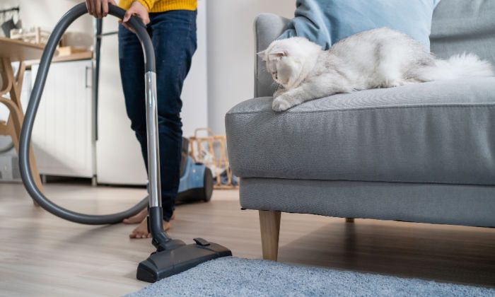 best hoovers for pet hair