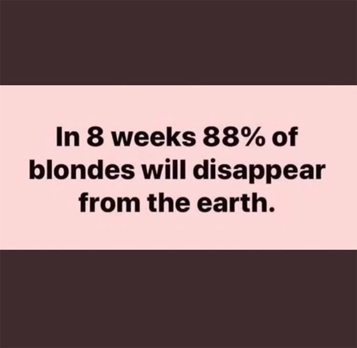 blonde meme