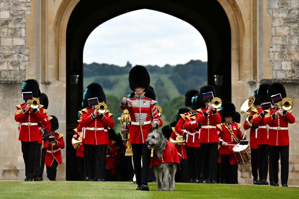The Band of the Irish Guards marching through and an Irish wolfhound is with the lead guard