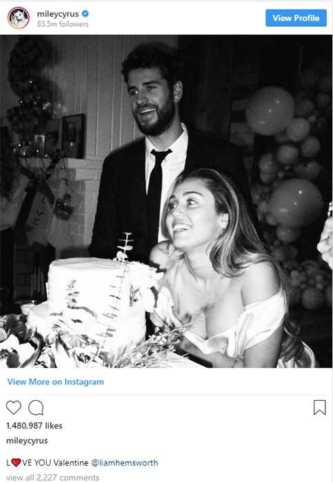 Miley Cyrus Liam Hemsworth wedding cake