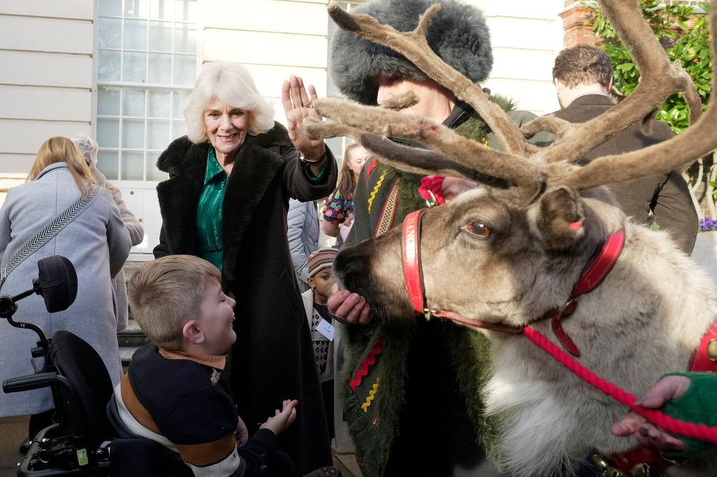 Queen Camilla strokes reindeer