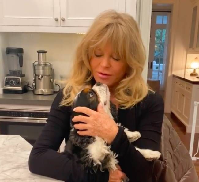 goldie hawn inside kitchen family home