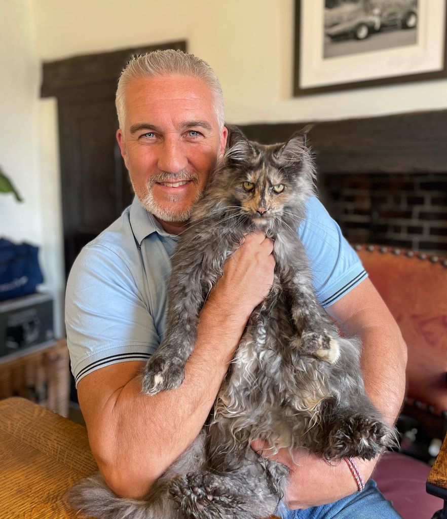 Paul hollywood holding cat