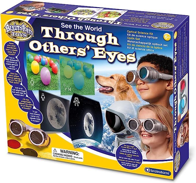Through Others' Eyes Game