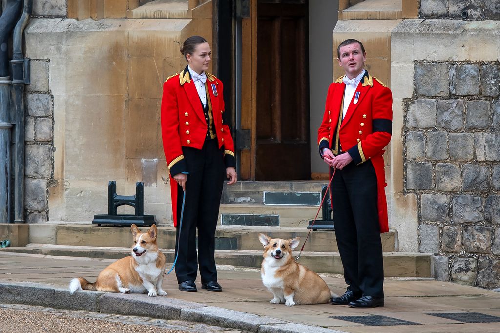 Members of the Royal Household stand with the Queen's royal Corgis, Muick and Sandy