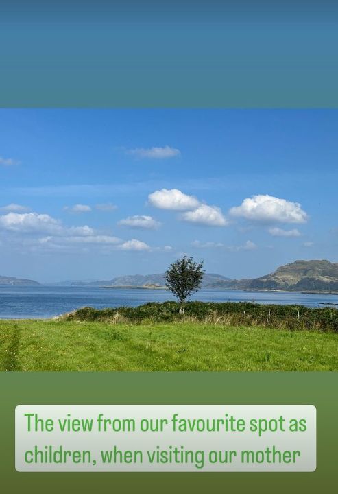 A landscape photo of the sea and grassy fields