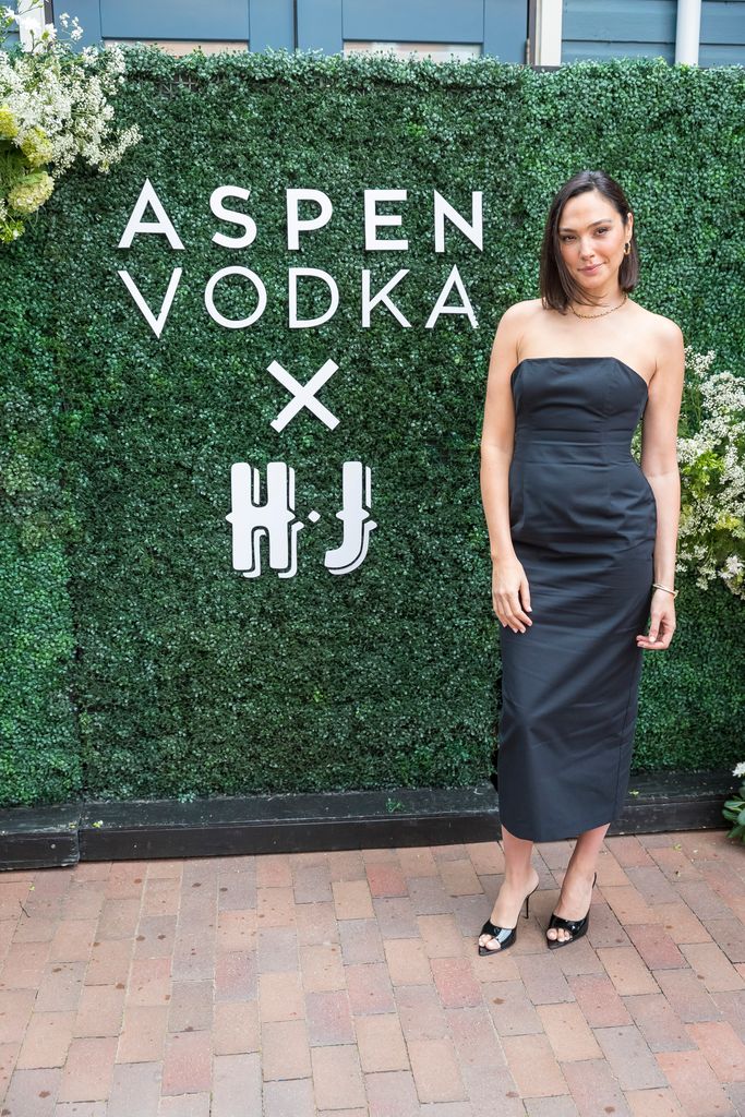 Gal Gadot attends Aspen Vodka's event